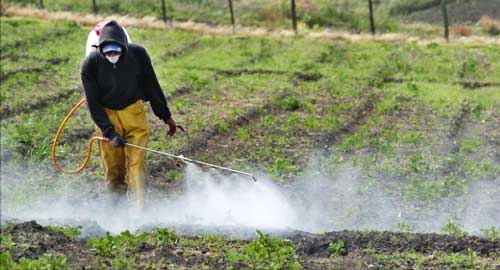 Piden que se reevalúe los herbicidas con glifosato