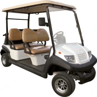 Vehículos eléctricos de golf y de recreación de 2/4 plazas 