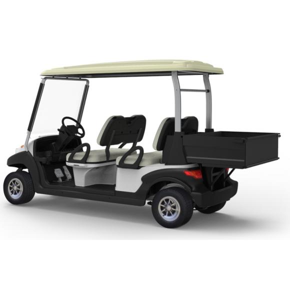 Vehículos eléctricos de golf y de recreación y servicios de 4/6 plazas 