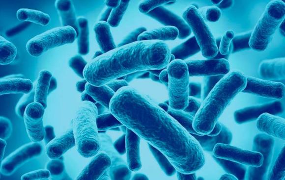 Los probióticos ayudarían a prevenir el cáncer de mama