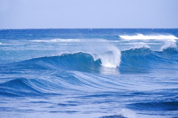 Descubren diversas células cancerígenas en el mar