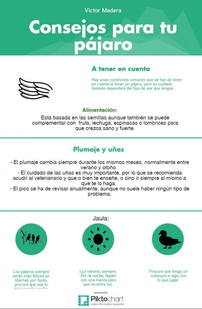 El pájaro de Victor Madera