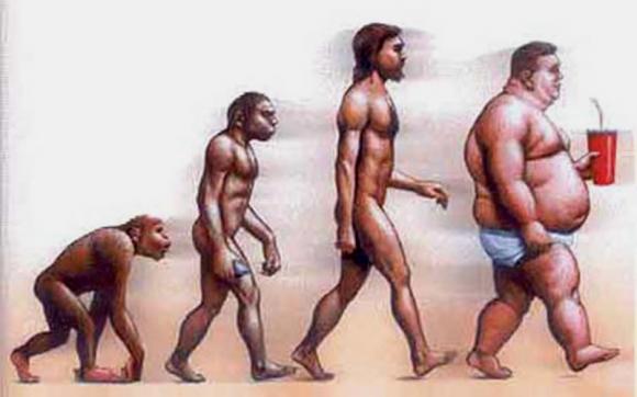 El estilo de vida moderno responsable la obesidad