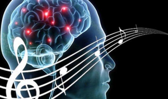 Neuromúsica: Relación entre el cerebro y la expresión musical
