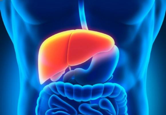 Jornadas de concientización, testeo y vacunación contra hepatitis virales
