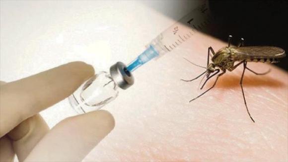 Comienzan las pruebas en humanos de vacuna contra el zika