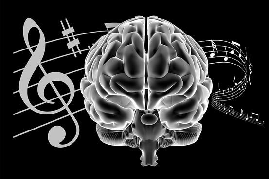 El cerebro ordena los recuerdos como una sinfónica