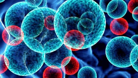 Avances en el tratamiento de la leucemia mieloide crónica 