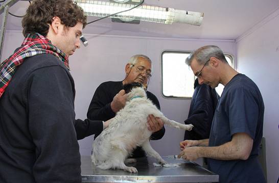 SAN ISIDRO: Castración y vacunación gratuita de mascotas en Septiembre