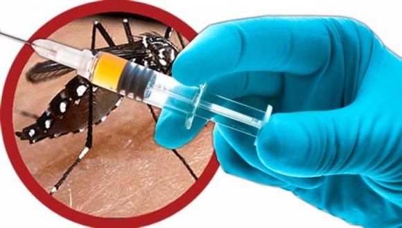 La vacuna frente al dengue estaría aumentando los casos graves de la enfermedad