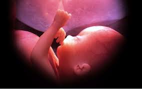 Al director de ¨La Nación¨, en defensa del niño por nacer