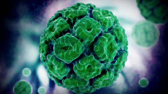 El VPH lo transmiten más las mujeres que los hombres