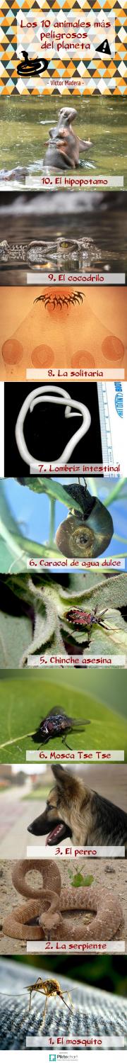Los 10 animales más letales por Victor Madera