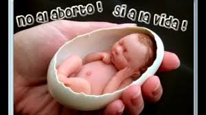 A la Gobernadora María Eugenia Vidal: ¡abra nuevos caminos para la defensa de la vida desde el primer instante de la concepción!