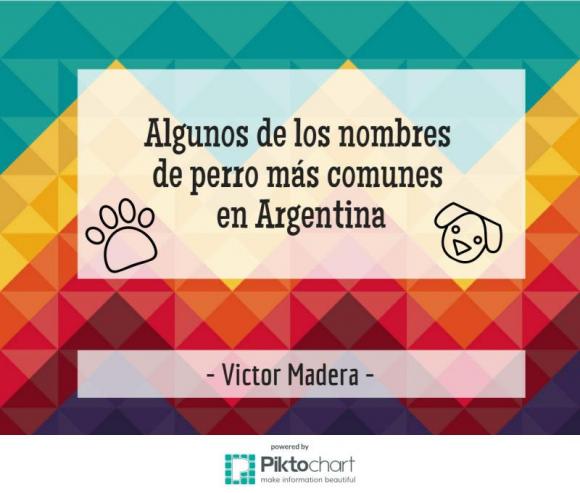 Victor Madera: Algunos de los nombres para perros más comunes en Argentina