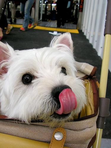 Victor Madera escoge nombre