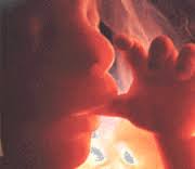 Austria, primer país de Europa que permite registrar a los bebés no nacidos