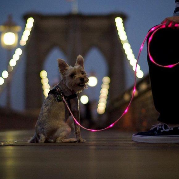 Victor Madera: correa luminosa