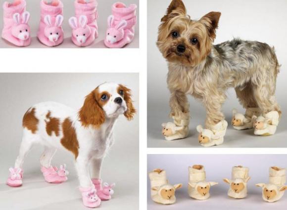 Victor Madera: 5 regalos originales para nuestras mascotas