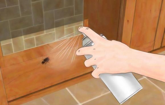 ANMAT prohibió el uso de un tipo de insecticida