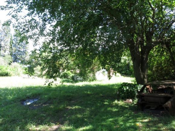 ¨ QUINTA EN BARRIO LOS PINOS¨, EXALTACION DE LA CRUZ