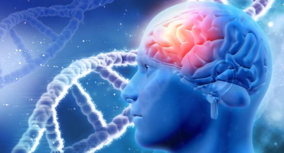 San Isidro: Jornada de Neurociencia y Educación 