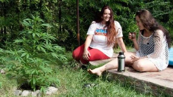 Detuvieron a una cultivadora de cannabis que hace aceite medicinal