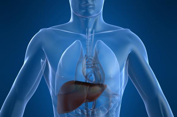 Latinoamérica: Sólo 5 de cada 100 pacientes con hepatitis reciben tratamiento