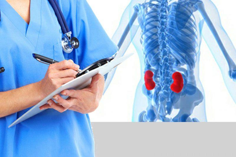 Día mundial del riñón: Jornada de prevención y concientización