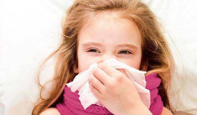 Alergias indoor: más frecuentes y severas en otoño