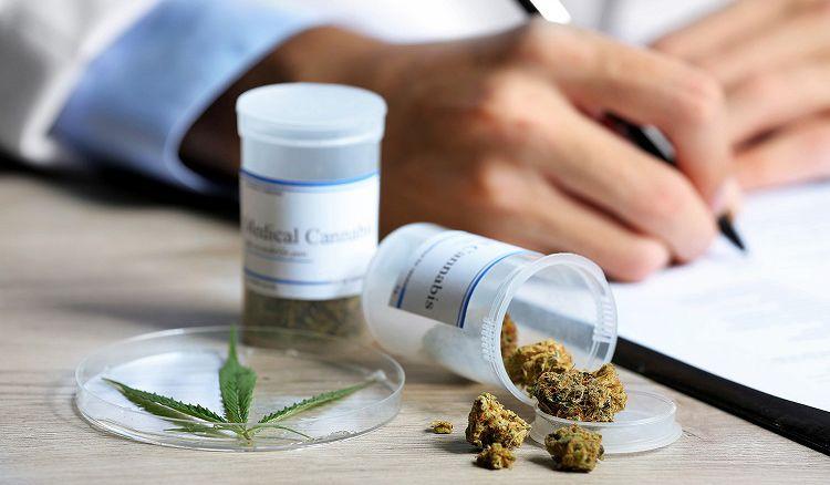 Es ley el proyecto de uso medicinal del cannabis y sus derivados