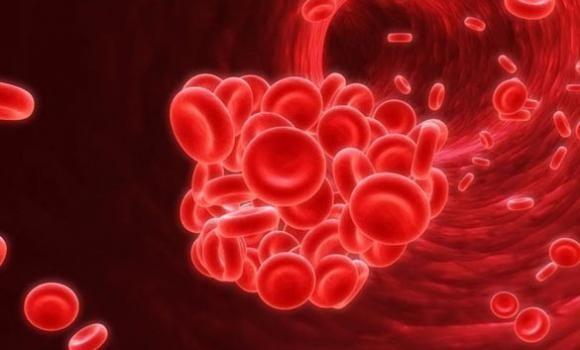 Campaña de donación voluntaria de sangre en el Día Mundial de la Hemofilia