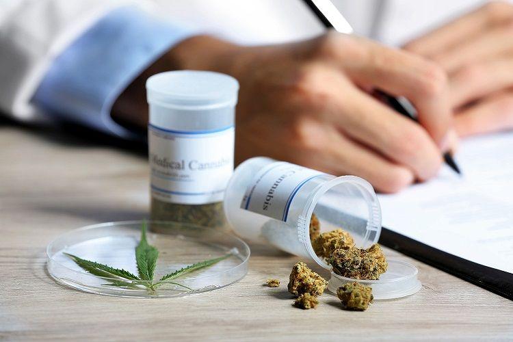 Se promulgó la ley de cannabis medicinal