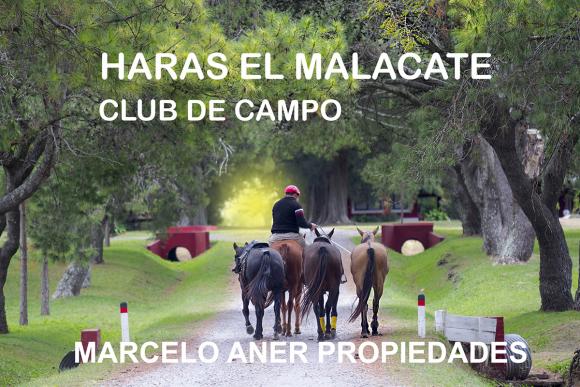 ¨ LOTES EN HARAS EL MALACATE - CLUB DE CAMPO ¨