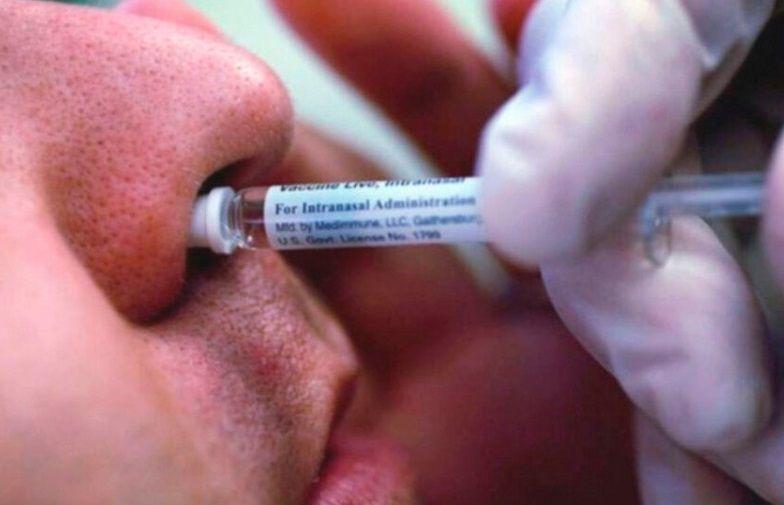 COVID-19: Estudio demuestra alta eficiencia de una vacuna inhalable