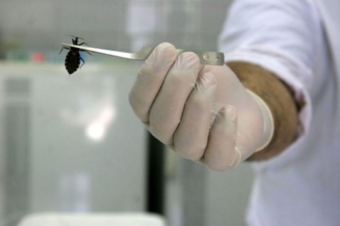 La OPS firmó un acuerdo con la SAP para cooperar en Chagas