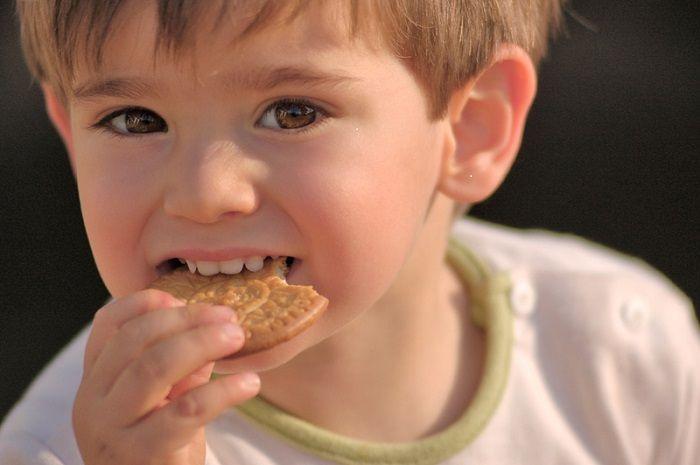Desarrollan fórmula de galletitas dulces con alto contenido de antioxidantes