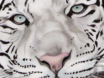 Video emocionante... la amistad verdadera nunca se pierde...