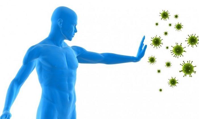 Inmunonutrición: avances científicos permitirán prevenir múltiples patologías