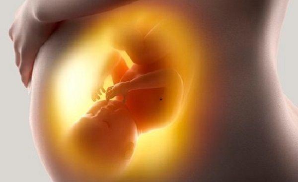 El parto respetado volverá a celebrarse en Argentina