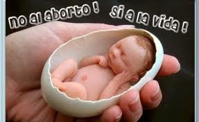 Apoyo del Grupo Popular al aborto libre y gratuito en el Senado es calificada como ¨vergonzosa por dirigentes de nuevas generaciones del partido