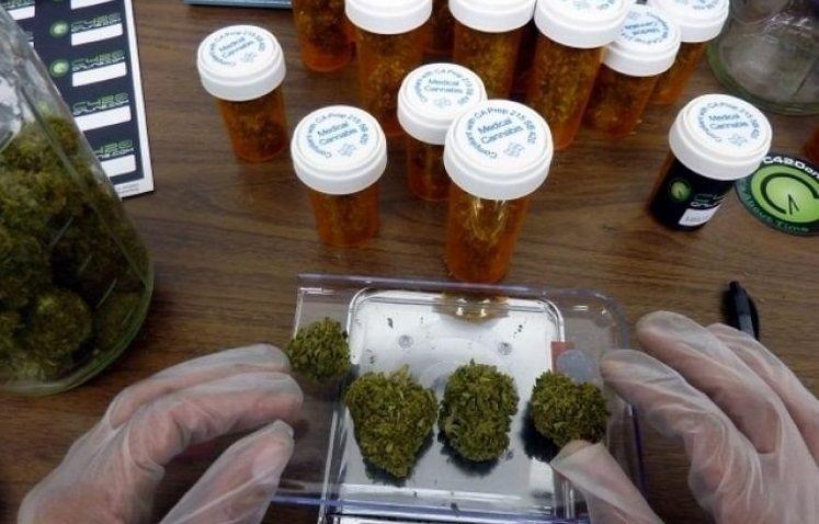 La provincia de Buenos Aires adhirió a la ley nacional de cannabis