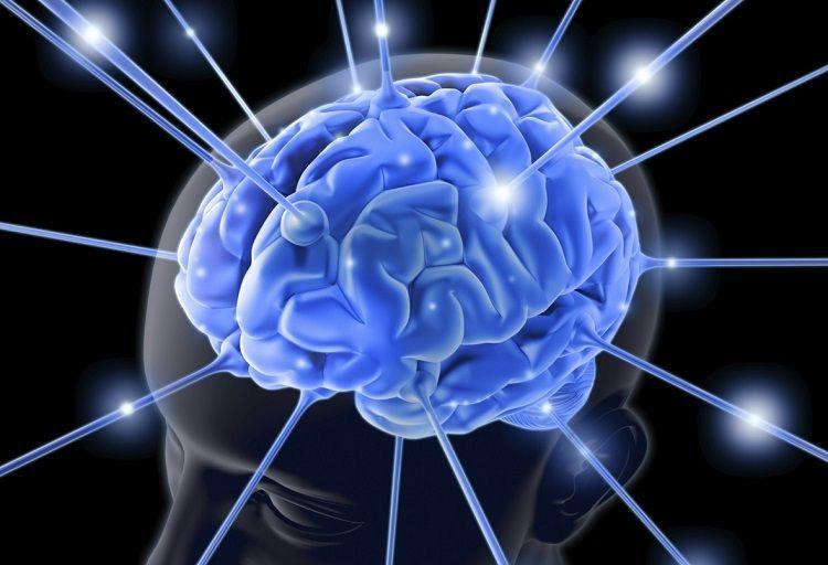1 cada 100 personas padecería epilepsia y 60% de ellas son niños
