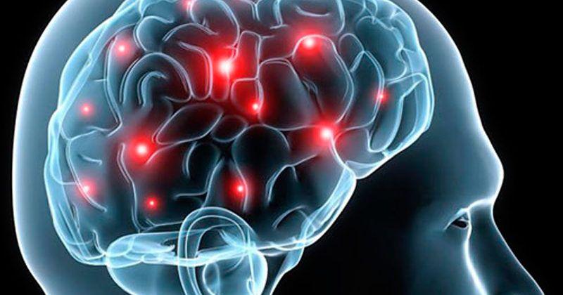 Proponen la informática para crear nuevos fármacos contra la epilepsia