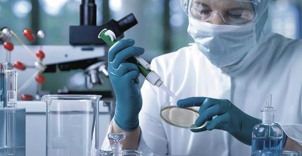 Zika: Invertirán en el país más de u$s 130 millones para desarrollar vacuna