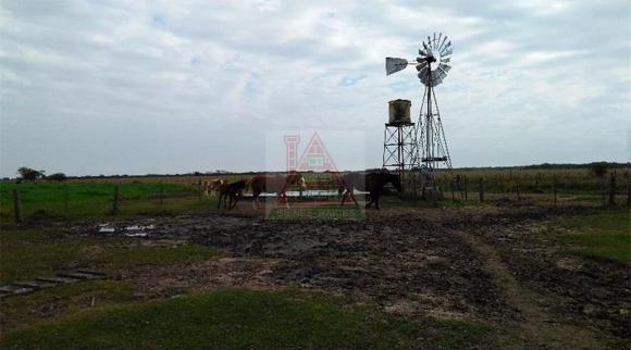 Campo Agrícola Ganadero (Santa Fe)