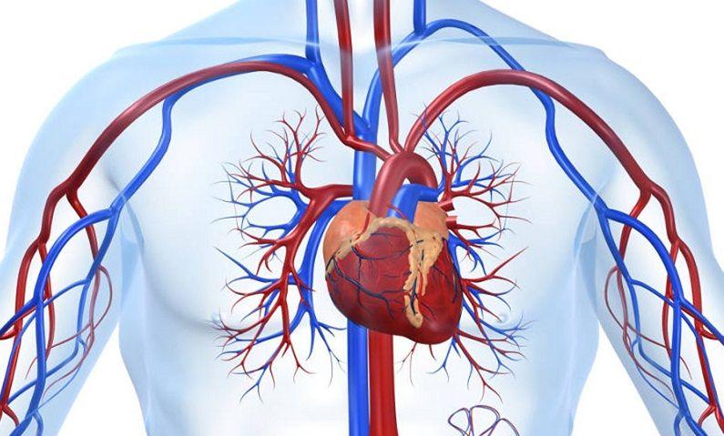 Buenos Aires: Se realizará el Congreso Latinoamericano de Cardiología Intervencionista