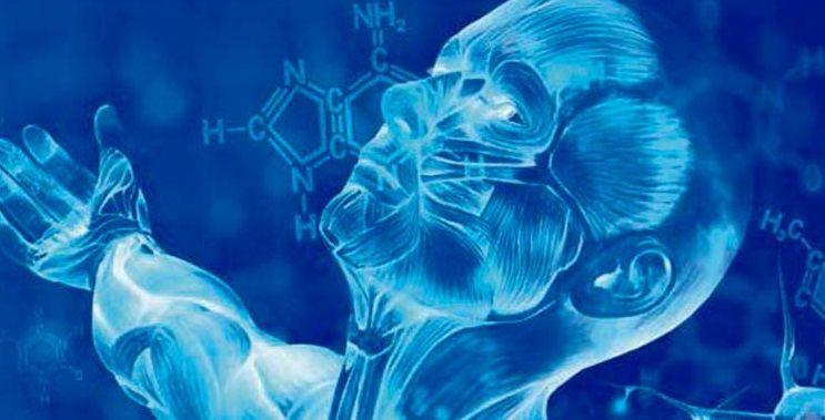 Diseñan terapia celular capaz de revertir el envejecimiento