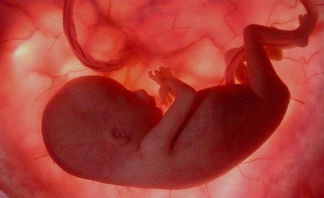 Capacitan a profesionales para prevenir la sífilis congénita