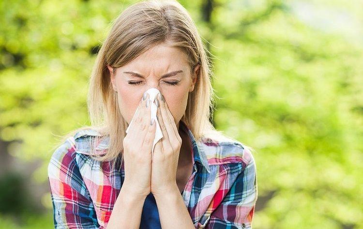 El polen de los plátanos causaría menos alergia que el de otros árboles